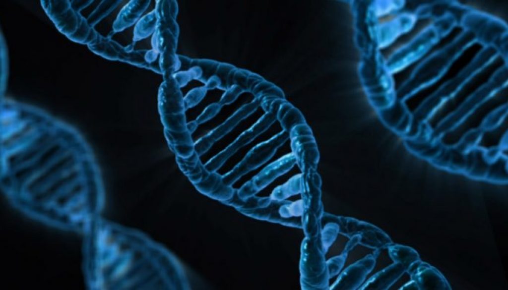 DNA